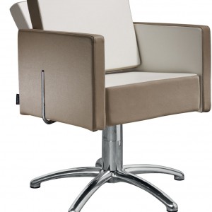 Juuksuritool Salon Ambience Square II