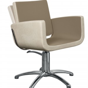 Juuksuritool Salon Ambience You II