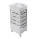 Salon Trolley Vezzosi Wow